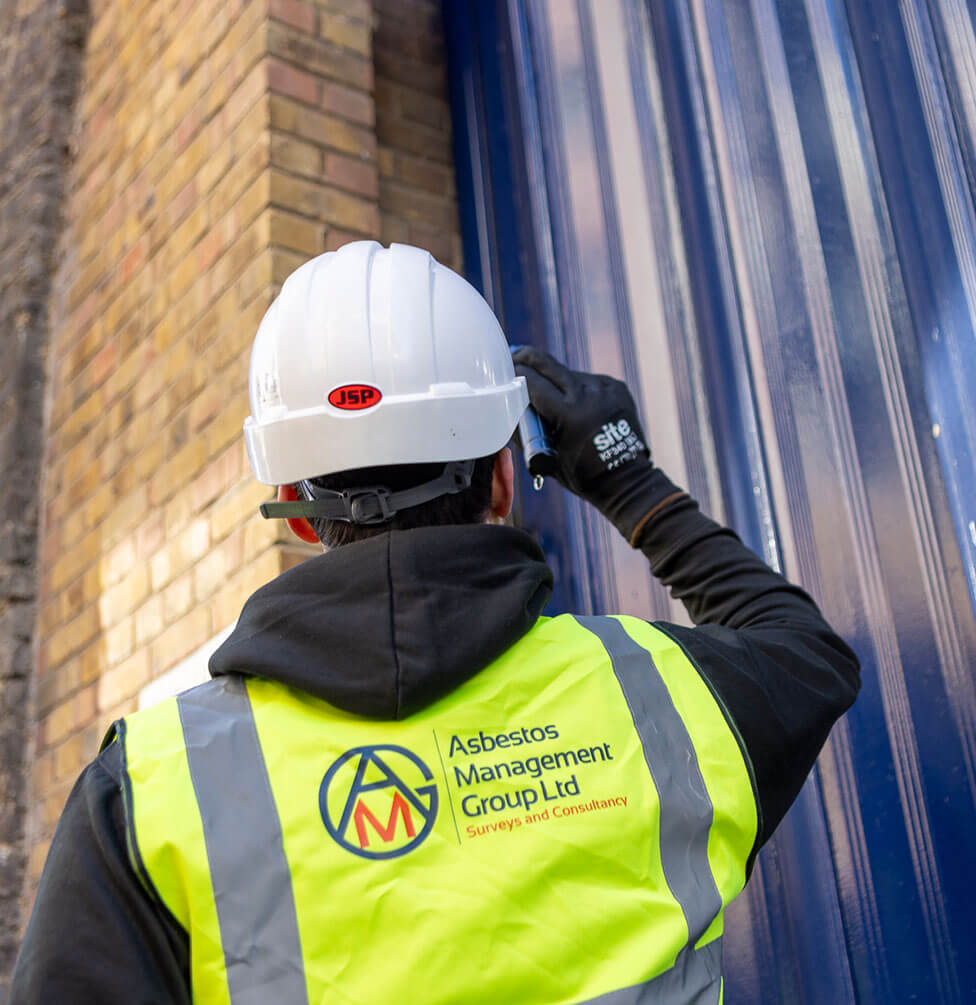 Asbestos Management Removals Bromley