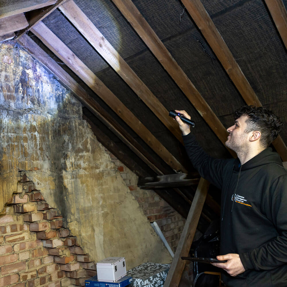 Asbestos Management Surveys Bromley